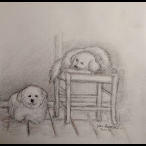 mbrosebichons